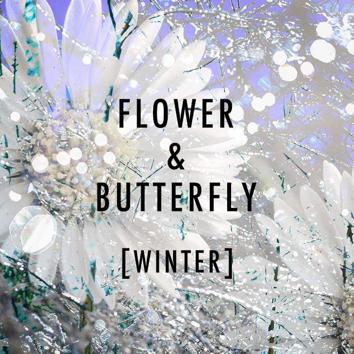 winter flower&butterfly series