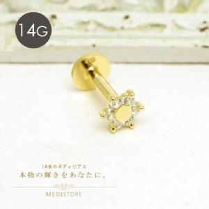 [ K18 ] t[ubg